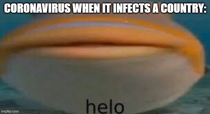 Fish Helo | CORONAVIRUS WHEN IT INFECTS A COUNTRY: | image tagged in fish helo | made w/ Imgflip meme maker