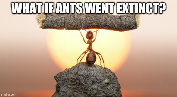 I Don't Even Like Ants And I Wished They Would Go Away Forever | WHAT IF ANTS WENT EXTINCT? | image tagged in heavy lifting ant | made w/ Imgflip meme maker