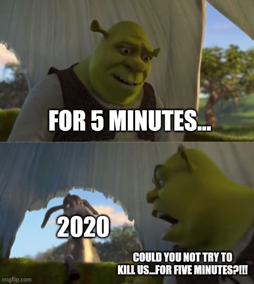 Could you not ___ for 5 MINUTES | FOR 5 MINUTES... 2020; COULD YOU NOT TRY TO KILL US...FOR FIVE MINUTES?!!! | image tagged in could you not ___ for 5 minutes | made w/ Imgflip meme maker