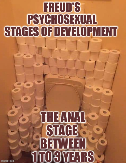 The Anal Stage | THE ANAL STAGE 
BETWEEN 1 TO 3 YEARS; FREUD'S 
PSYCHOSEXUAL 
STAGES OF DEVELOPMENT | image tagged in coronavirus | made w/ Imgflip meme maker