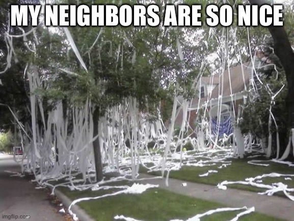 Toilet papered house | MY NEIGHBORS ARE SO NICE | image tagged in toilet papered house | made w/ Imgflip meme maker
