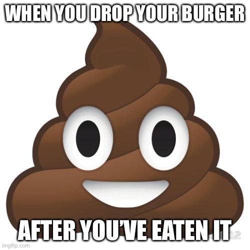 poop | WHEN YOU DROP YOUR BURGER AFTER YOU’VE EATEN IT | image tagged in poop | made w/ Imgflip meme maker