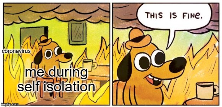 This Is Fine | coronavirus; me during self isolation | image tagged in memes,this is fine | made w/ Imgflip meme maker