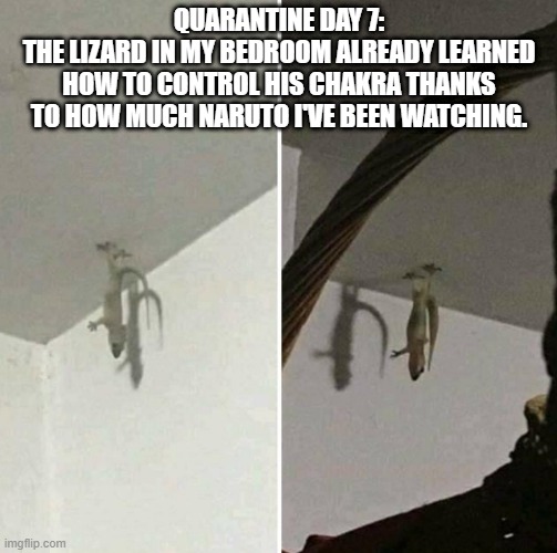 Quarantine Report - Day 7 | QUARANTINE DAY 7:
THE LIZARD IN MY BEDROOM ALREADY LEARNED HOW TO CONTROL HIS CHAKRA THANKS TO HOW MUCH NARUTO I'VE BEEN WATCHING. | image tagged in quarantine | made w/ Imgflip meme maker