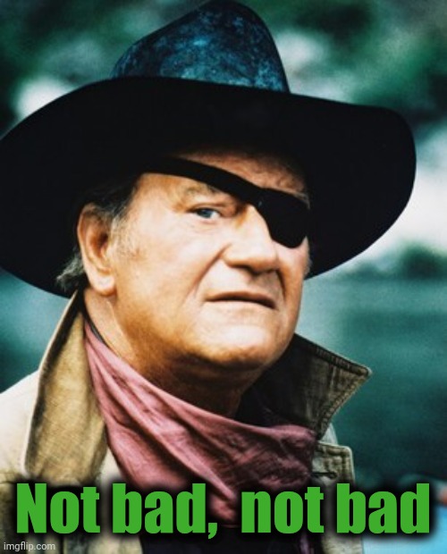 John Wayne  | Not bad,  not bad | image tagged in john wayne | made w/ Imgflip meme maker