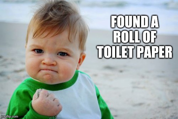 Success Kid Original | FOUND A ROLL OF TOILET PAPER | image tagged in memes,success kid original | made w/ Imgflip meme maker