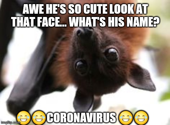 Bat birthday | AWE HE'S SO CUTE LOOK AT THAT FACE... WHAT'S HIS NAME? 😂😂CORONAVIRUS 😂😂 | image tagged in bat birthday | made w/ Imgflip meme maker