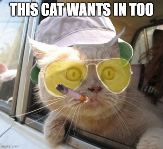 Fear And Loathing Cat Meme | THIS CAT WANTS IN TOO | image tagged in memes,fear and loathing cat | made w/ Imgflip meme maker