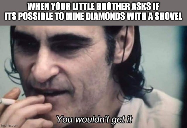 You wouldn't get it | WHEN YOUR LITTLE BROTHER ASKS IF ITS POSSIBLE TO MINE DIAMONDS WITH A SHOVEL | image tagged in you wouldn't get it | made w/ Imgflip meme maker