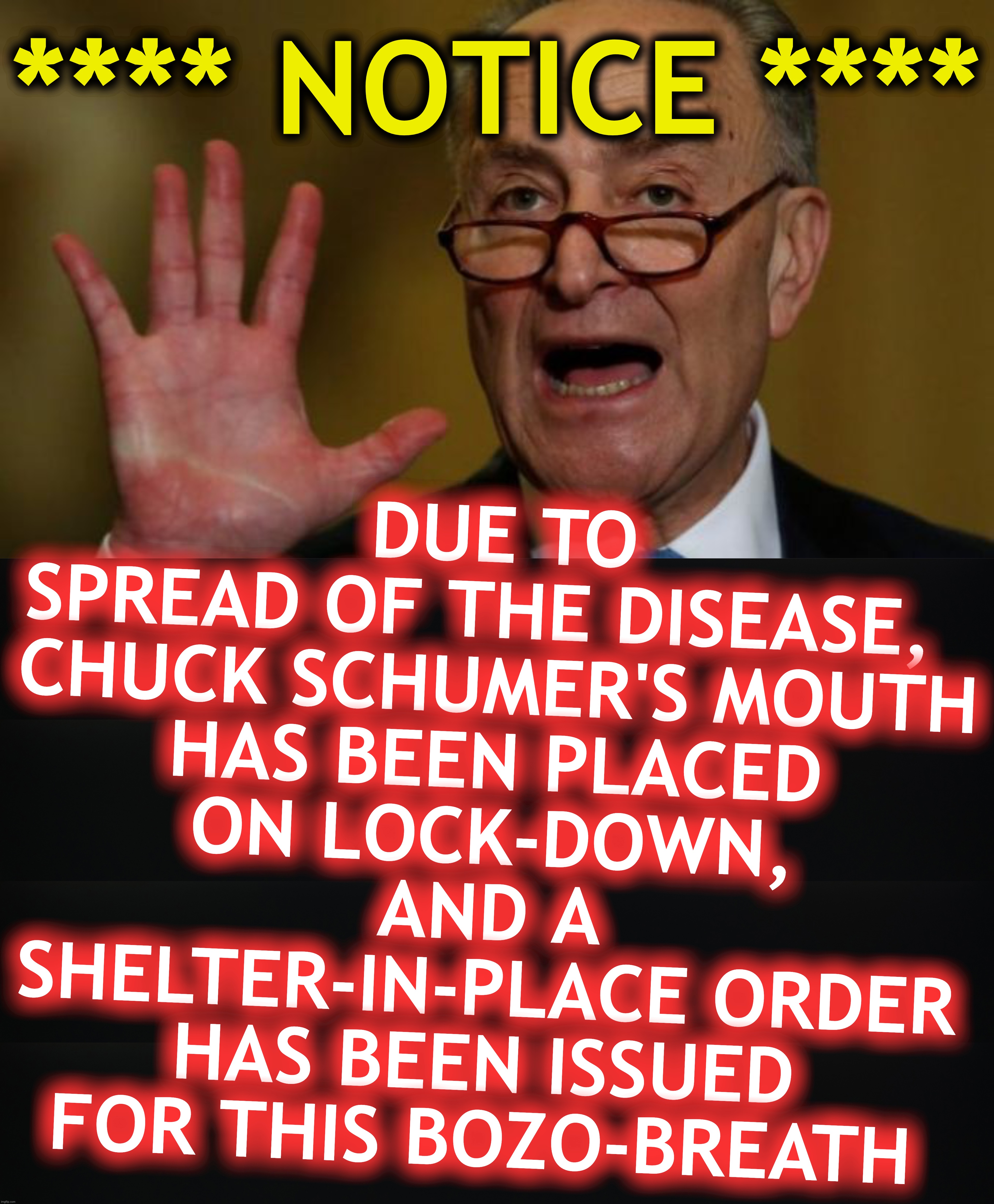 DUE TO SPREAD OF THE DISEASE,  

CHUCK SCHUMER'S MOUTH HAS BEEN PLACED ON LOCK-DOWN, AND A SHELTER-IN-PLACE ORDER HAS BEEN ISSUED FOR THIS BOZO-BREATH; **** NOTICE **** | image tagged in chuck schumer,coronavirus,corona,lockdown | made w/ Imgflip meme maker