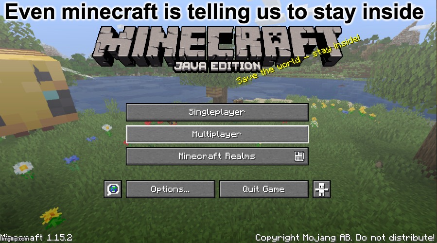 Even minecraft is telling us to stay inside | image tagged in coronavirus,minecraft,games | made w/ Imgflip meme maker