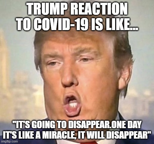 Tump NOOO | TRUMP REACTION TO COVID-19 IS LIKE... "IT'S GOING TO DISAPPEAR.ONE DAY IT'S LIKE A MIRACLE, IT WILL DISAPPEAR" | image tagged in tump nooo | made w/ Imgflip meme maker