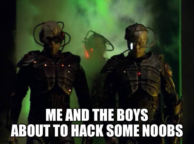 The boys | ME AND THE BOYS ABOUT TO HACK SOME NOOBS | image tagged in borg,assimilate | made w/ Imgflip meme maker