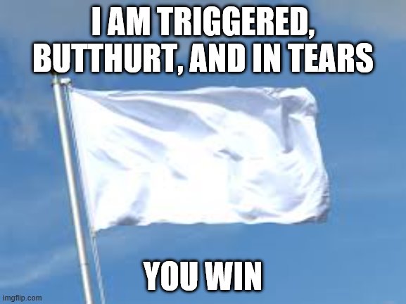When they win! | I AM TRIGGERED, BUTTHURT, AND IN TEARS; YOU WIN | image tagged in surrender,imgflip trolls,triggered,butthurt,tears,the daily struggle imgflip edition | made w/ Imgflip meme maker