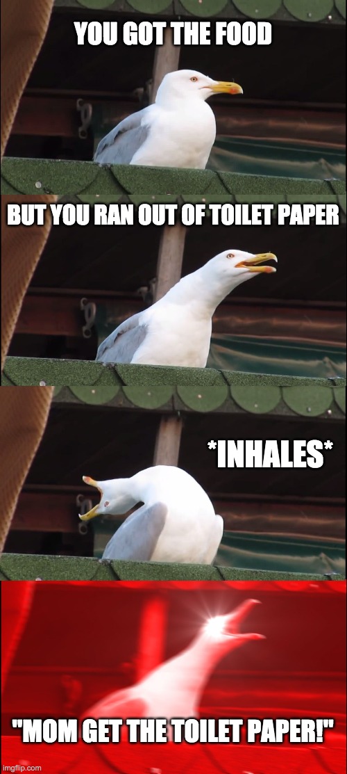 Inhaling Seagull | YOU GOT THE FOOD; BUT YOU RAN OUT OF TOILET PAPER; *INHALES*; "MOM GET THE TOILET PAPER!" | image tagged in memes,inhaling seagull | made w/ Imgflip meme maker