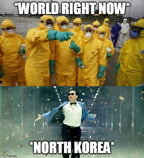 *WORLD RIGHT NOW*; *NORTH KOREA* | image tagged in gangam,coronavirus body suit | made w/ Imgflip meme maker
