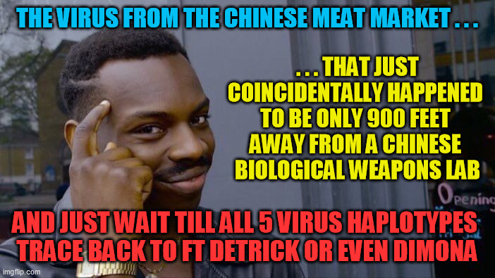 Roll Safe Think About It Meme | THE VIRUS FROM THE CHINESE MEAT MARKET . . . AND JUST WAIT TILL ALL 5 VIRUS HAPLOTYPES 
TRACE BACK TO FT DETRICK OR EVEN DIMONA . . . THAT J | image tagged in memes,roll safe think about it | made w/ Imgflip meme maker