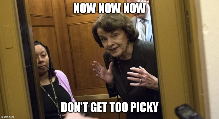 Sneaky Diane Feinstein | NOW NOW NOW DON'T GET TOO PICKY | image tagged in sneaky diane feinstein | made w/ Imgflip meme maker