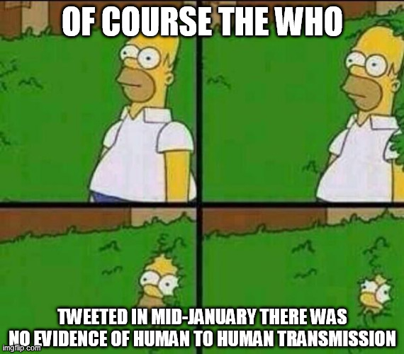 Homer Simpson in Bush - Large | OF COURSE THE WHO TWEETED IN MID-JANUARY THERE WAS NO EVIDENCE OF HUMAN TO HUMAN TRANSMISSION | image tagged in homer simpson in bush - large | made w/ Imgflip meme maker