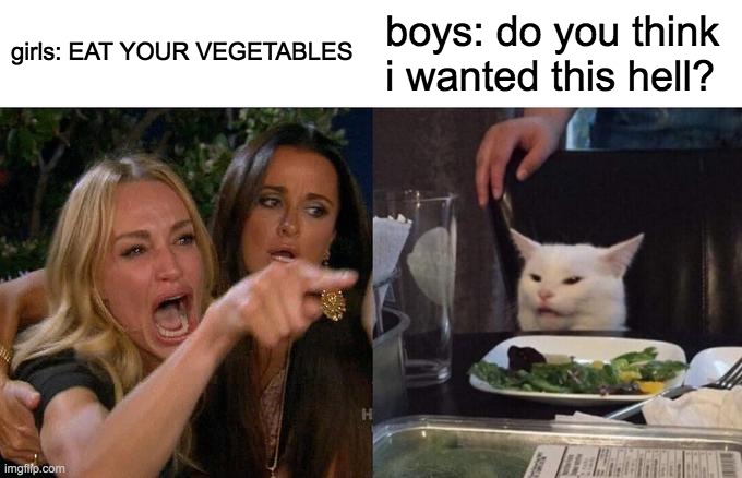 Woman Yelling At Cat | girls: EAT YOUR VEGETABLES; boys: do you think i wanted this hell? | image tagged in memes,woman yelling at cat | made w/ Imgflip meme maker