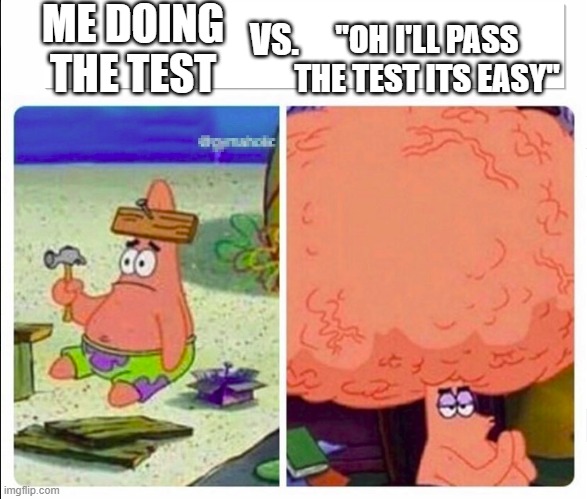test studying | ME DOING THE TEST; "OH I'LL PASS THE TEST ITS EASY"; VS. | image tagged in patrick brains,memes,test,school,studying | made w/ Imgflip meme maker