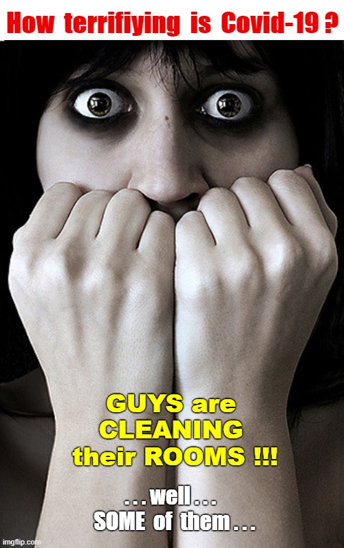 You KNOW it's BAD when ... | How  terrifiying  is  Covid-19 ? GUYS are
CLEANING
 their ROOMS !!! . . . well . . .  
SOME  of  them . . . | image tagged in fear,coronavirus,guys,rick75230 | made w/ Imgflip meme maker