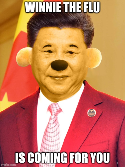 Beware of Winnie the Flu | WINNIE THE FLU; IS COMING FOR YOU | image tagged in xi jinping winnie the poo | made w/ Imgflip meme maker