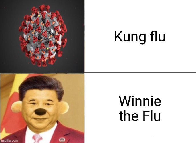Kung Flu vs. Winnie the Flu | Kung flu; Winnie the Flu | image tagged in memes,tuxedo winnie the pooh | made w/ Imgflip meme maker