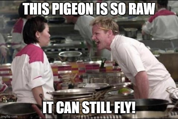 Angry Chef Gordon Ramsay Meme | THIS PIGEON IS SO RAW; IT CAN STILL FLY! | image tagged in memes,angry chef gordon ramsay,pigeon,raw,rare | made w/ Imgflip meme maker