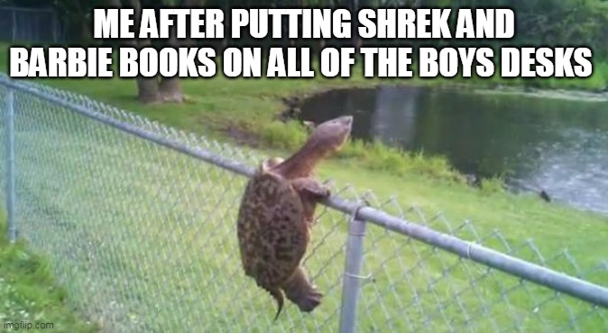 turtle fence escape | ME AFTER PUTTING SHREK AND BARBIE BOOKS ON ALL OF THE BOYS DESKS | image tagged in turtle fence escape | made w/ Imgflip meme maker