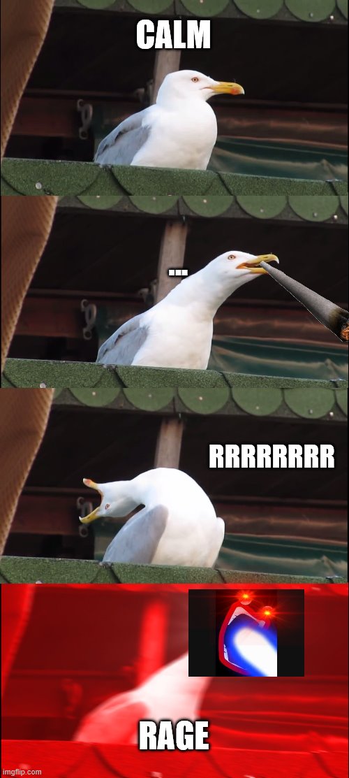 Inhaling Seagull | CALM; ... RRRRRRRR; RAGE | image tagged in memes,inhaling seagull | made w/ Imgflip meme maker