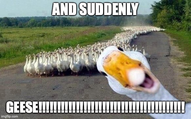 GOOSE | AND SUDDENLY; GEESE!!!!!!!!!!!!!!!!!!!!!!!!!!!!!!!!!!!!!!! | image tagged in goose | made w/ Imgflip meme maker