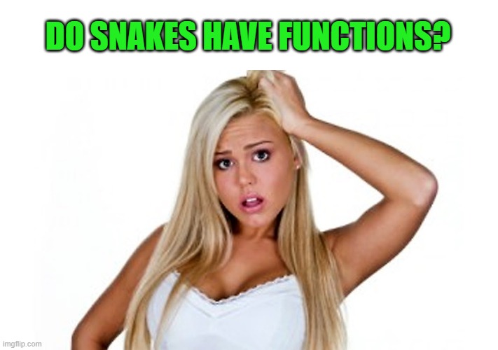 DO SNAKES HAVE FUNCTIONS? | made w/ Imgflip meme maker