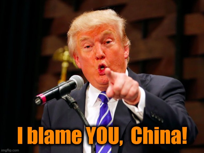 trump point | I blame YOU,  China! | image tagged in trump point | made w/ Imgflip meme maker