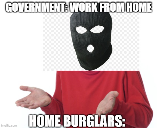 What now? | GOVERNMENT: WORK FROM HOME; HOME BURGLARS: | image tagged in coronavirus | made w/ Imgflip meme maker
