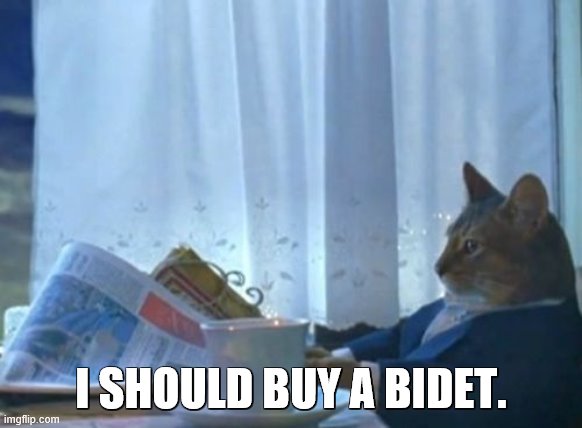 I Should Buy A Boat Cat Meme | I SHOULD BUY A BIDET. | image tagged in memes,i should buy a boat cat | made w/ Imgflip meme maker