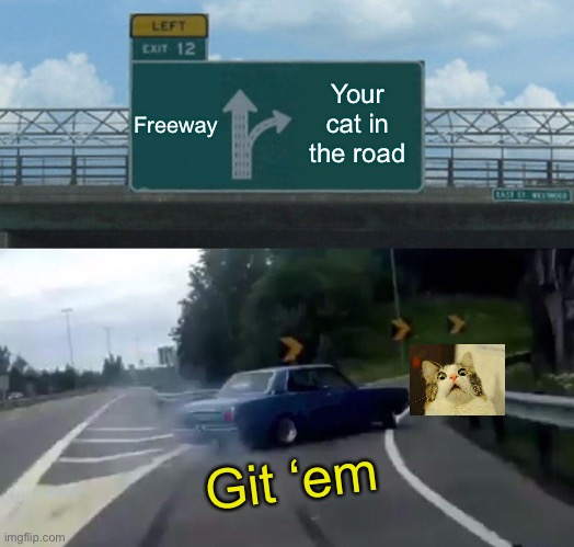 Left Exit 12 Off Ramp | Freeway; Your cat in the road; Git ‘em | image tagged in memes,left exit 12 off ramp | made w/ Imgflip meme maker