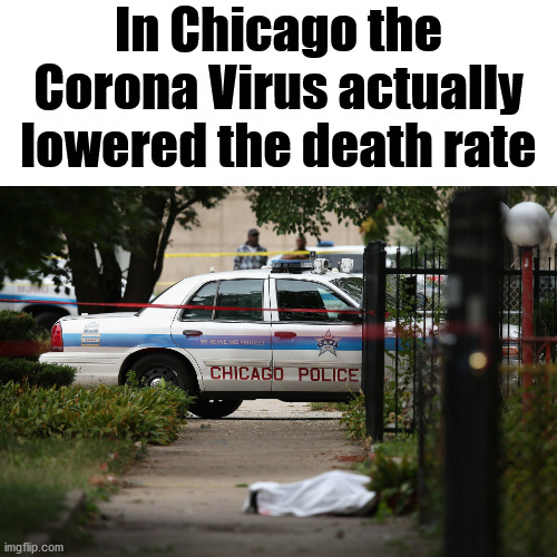 With social distancing the gangs can not shoot one another. | In Chicago the Corona Virus actually lowered the death rate | image tagged in chicago gun control,gangs,corona virus,shootings,ConservativeMemes | made w/ Imgflip meme maker