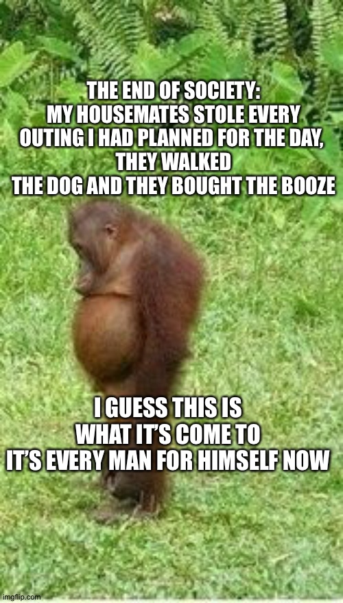 Sad orangutan | THE END OF SOCIETY:
MY HOUSEMATES STOLE EVERY OUTING I HAD PLANNED FOR THE DAY, 
THEY WALKED THE DOG AND THEY BOUGHT THE BOOZE; I GUESS THIS IS WHAT IT’S COME TO
IT’S EVERY MAN FOR HIMSELF NOW | image tagged in sad orangutan | made w/ Imgflip meme maker