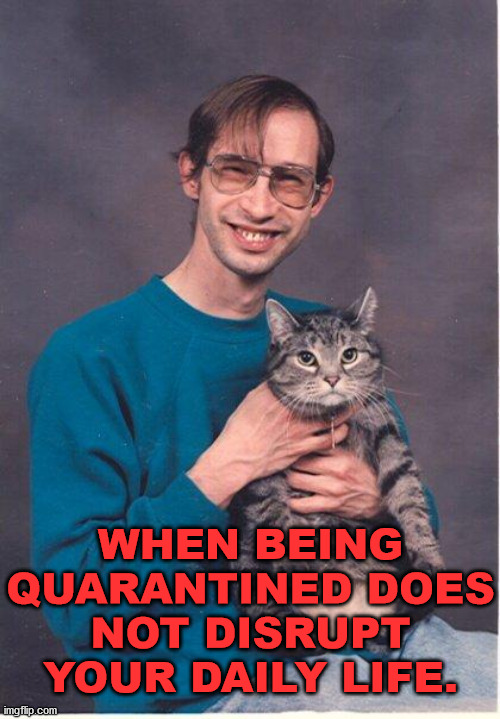 Not much has changed for me ... Is that good or maybe I need a life? | WHEN BEING QUARANTINED DOES NOT DISRUPT YOUR DAILY LIFE. | image tagged in cat-nerd,quarantine,real life | made w/ Imgflip meme maker