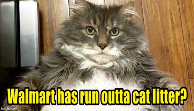 FatCat Meme of The Day :) | image tagged in cat meme,fat cat,walmart,cat litter,funny memes | made w/ Imgflip meme maker