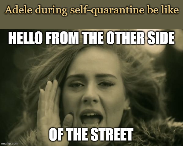adele hello | Adele during self-quarantine be like; HELLO FROM THE OTHER SIDE; OF THE STREET | image tagged in adele hello | made w/ Imgflip meme maker
