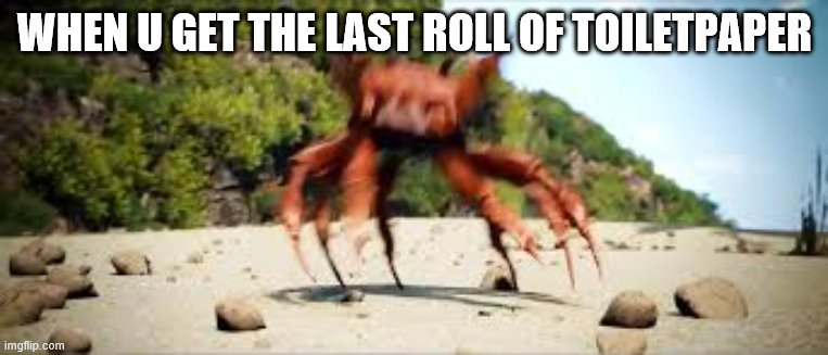 crab rave | WHEN U GET THE LAST ROLL OF TOILETPAPER | image tagged in crab rave | made w/ Imgflip meme maker