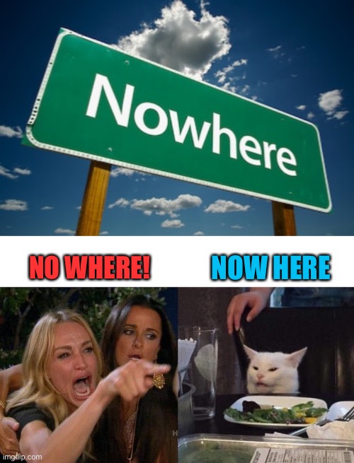 NO WHERE! NOW HERE | image tagged in memes,woman yelling at cat | made w/ Imgflip meme maker