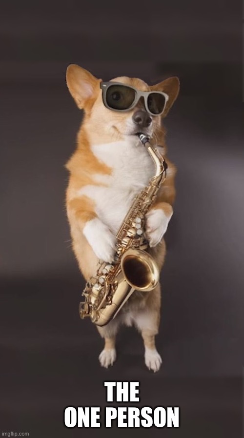 Corgi Saxophone | THE ONE PERSON | image tagged in corgi saxophone | made w/ Imgflip meme maker