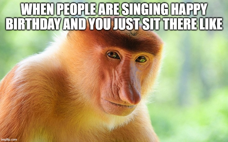 nosacz monkey | WHEN PEOPLE ARE SINGING HAPPY BIRTHDAY AND YOU JUST SIT THERE LIKE | image tagged in nosacz monkey | made w/ Imgflip meme maker