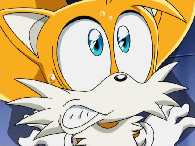Scared tails Blank Meme Template