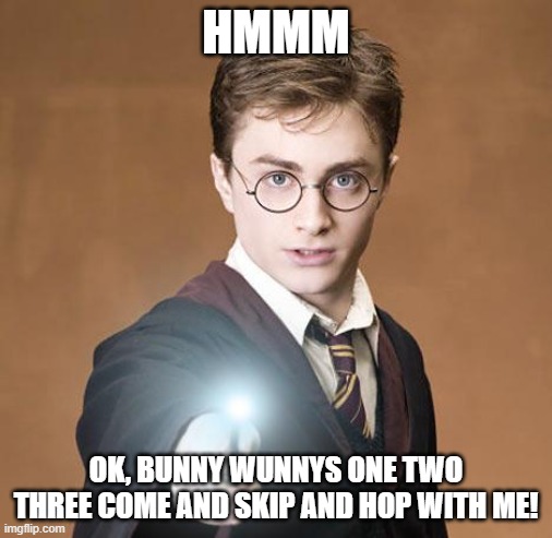 harry potter casting a spell | HMMM; OK, BUNNY WUNNYS ONE TWO THREE COME AND SKIP AND HOP WITH ME! | image tagged in harry potter casting a spell | made w/ Imgflip meme maker