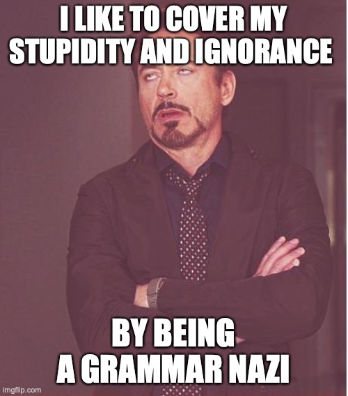Face You Make Robert Downey Jr Meme | I LIKE TO COVER MY STUPIDITY AND IGNORANCE BY BEING A GRAMMAR NAZI | image tagged in memes,face you make robert downey jr | made w/ Imgflip meme maker
