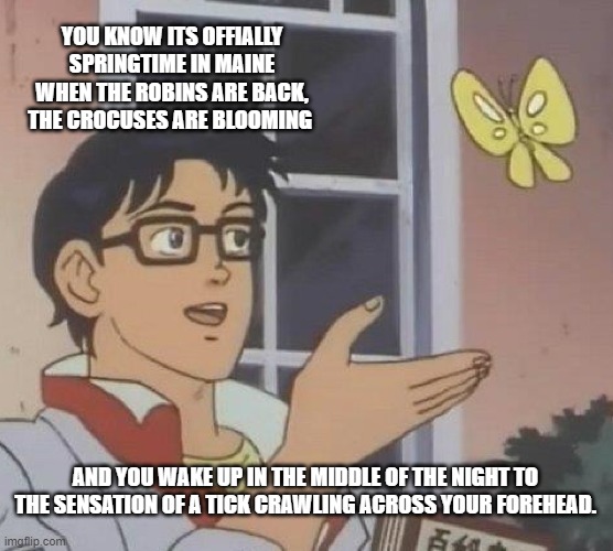 Is This A Pigeon Meme | YOU KNOW ITS OFFIALLY SPRINGTIME IN MAINE WHEN THE ROBINS ARE BACK, THE CROCUSES ARE BLOOMING; AND YOU WAKE UP IN THE MIDDLE OF THE NIGHT TO THE SENSATION OF A TICK CRAWLING ACROSS YOUR FOREHEAD. | image tagged in memes,is this a pigeon | made w/ Imgflip meme maker